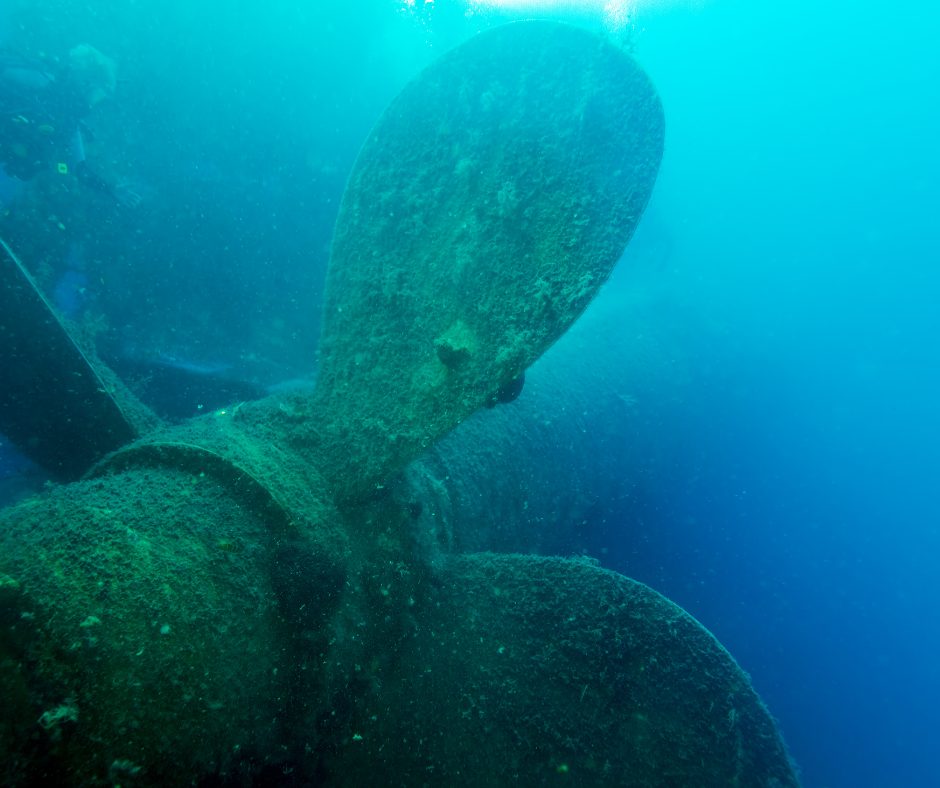 zenobia