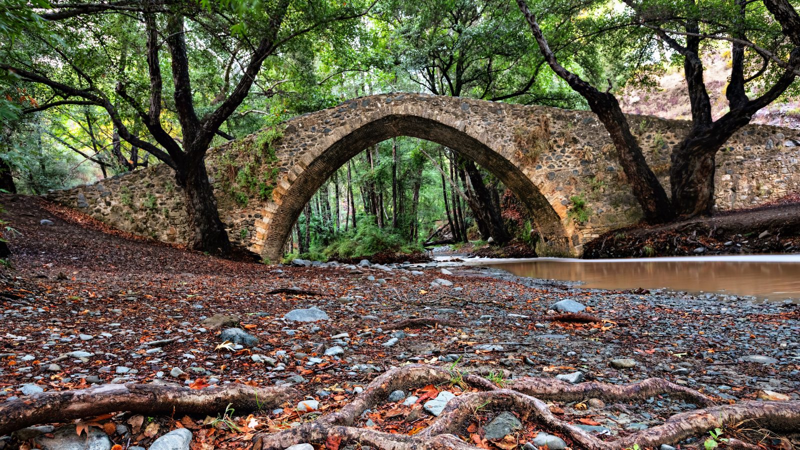 Troodos Mountains
