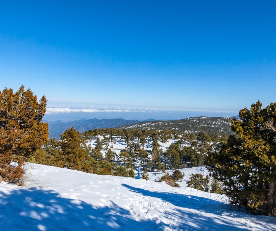 Winter in Cyprus